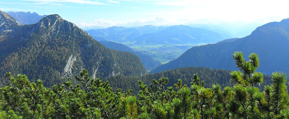 Almen im Salzburger Saalachtal